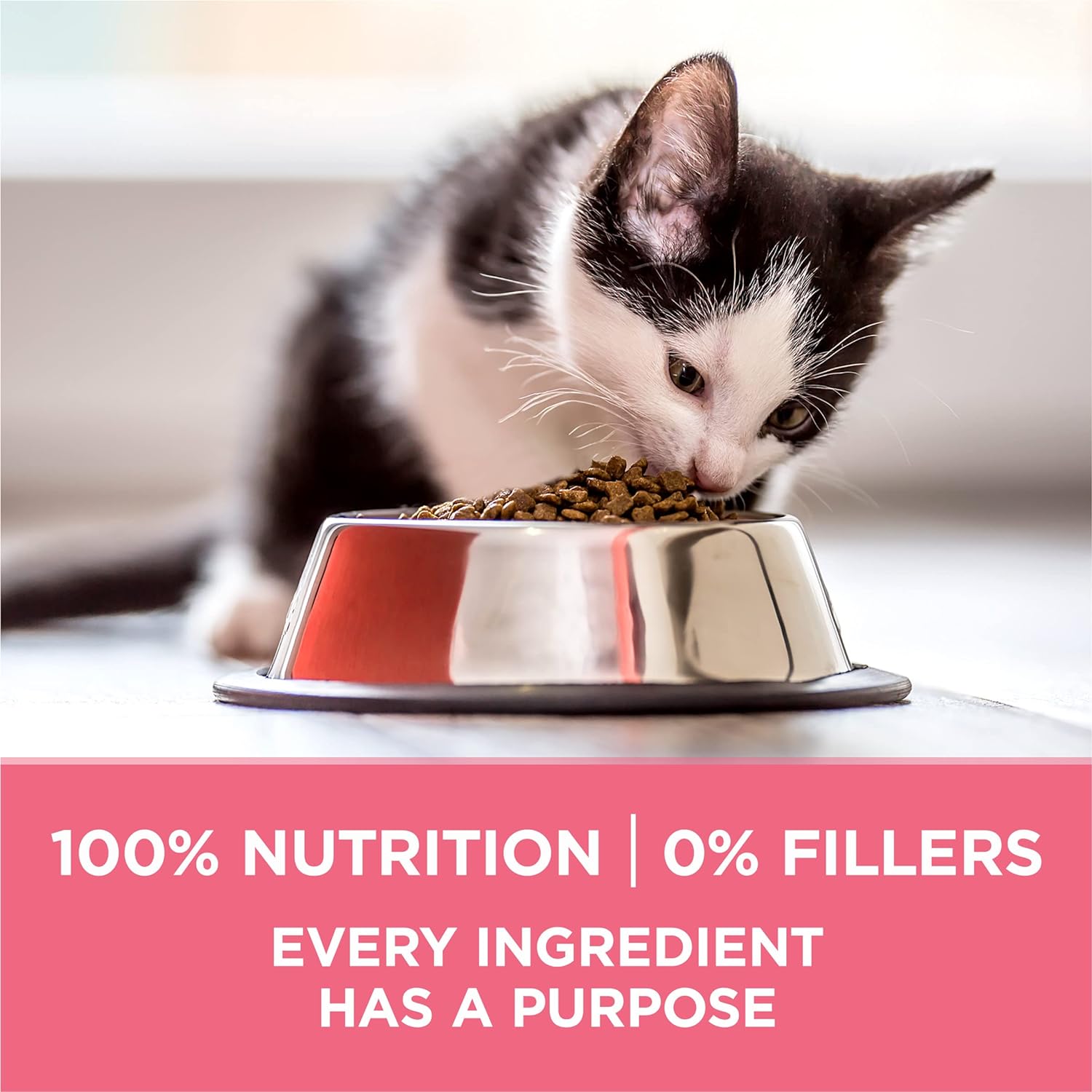 Purina ONE High Protein Natural Dry Kitten Food +Plus Healthy Kitten Formula -  Dry Cat Food Purina ONE