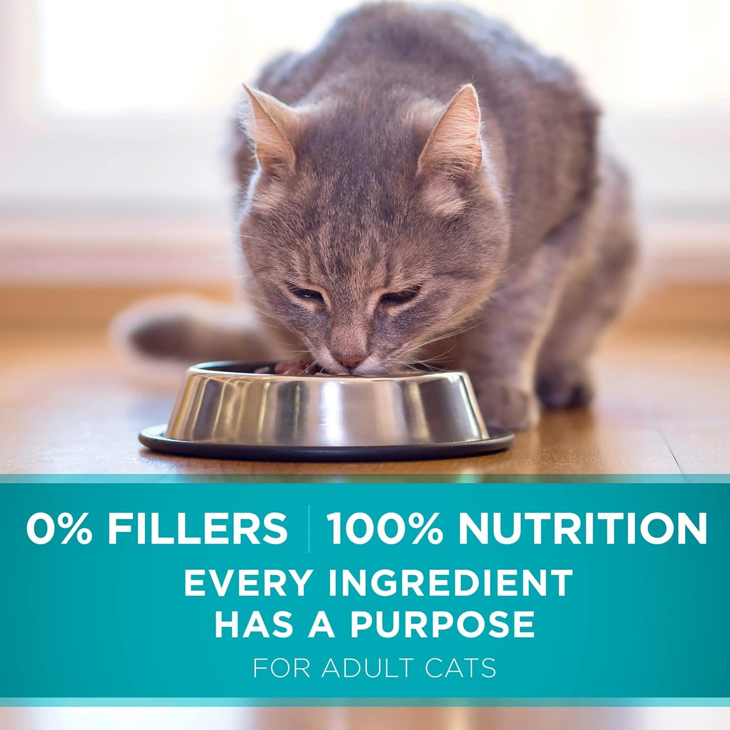 Purina ONE Natural Dry Cat Food, Tender Selects Blend With Real Salmon -  Dry Cat Food Purina ONE