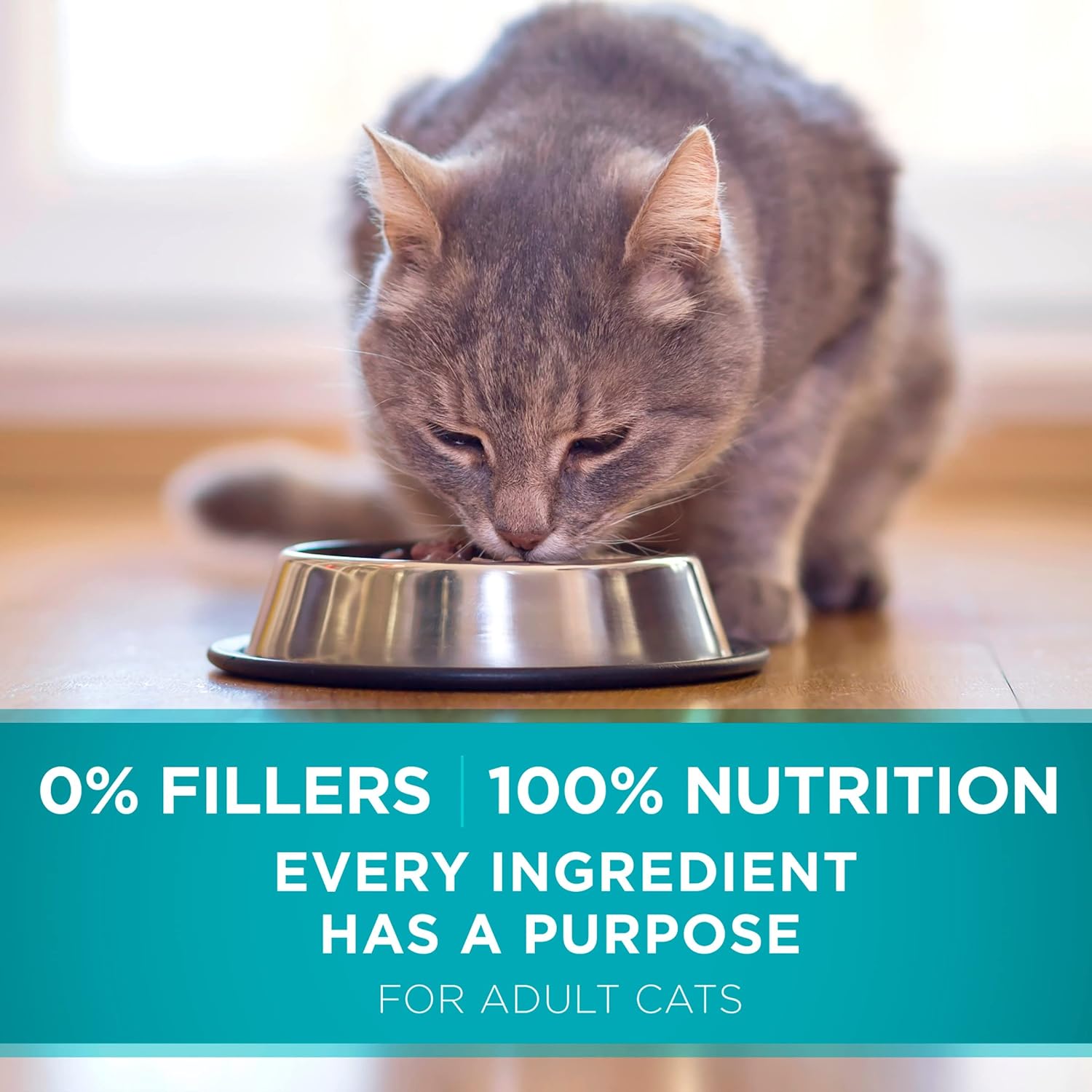 Purina ONE Natural Dry Cat Food, Tender Selects Blend With Real Salmon -  Dry Cat Food Purina ONE