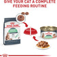 Royal Canin Feline Digestive Care Thin Slices in Gravy Wet Cat Food -  Wet Cat Food Royal Canin