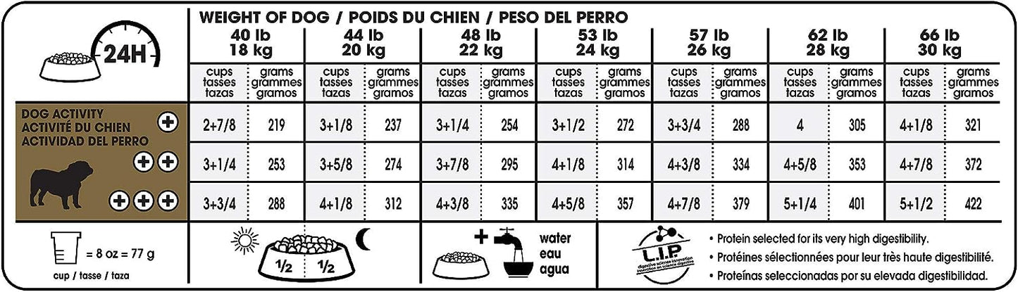 Royal Canin Breed Health Nutrition Bulldog Adult Dry Dog Food -  Dry Dog Food Royal Canin
