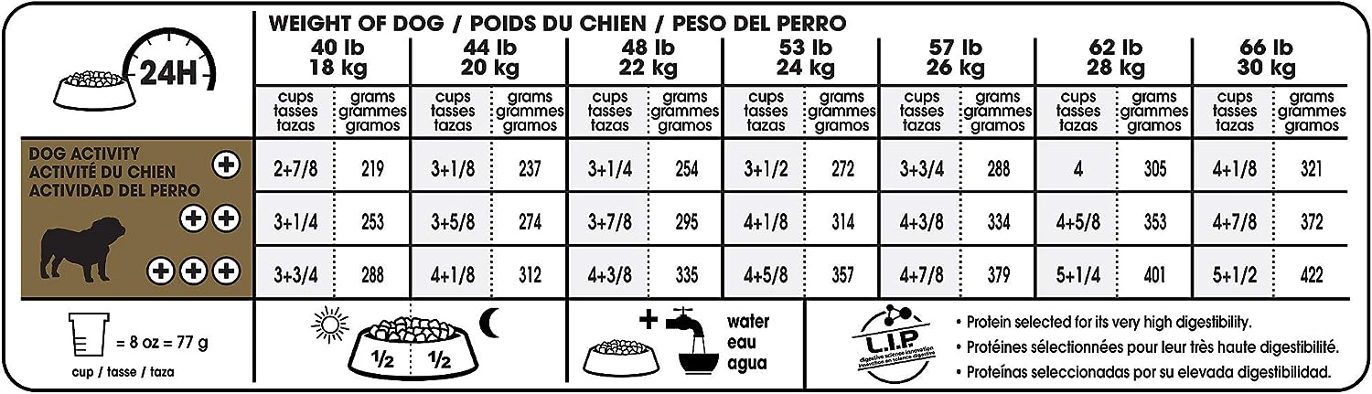 Royal Canin Breed Health Nutrition Bulldog Adult Dry Dog Food -  Dry Dog Food Royal Canin