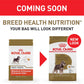 Royal Canin Miniature Schnauzer Adult Breed Specific Dry Dog Food, 10 LB -  Dry Dog Food Royal Canin
