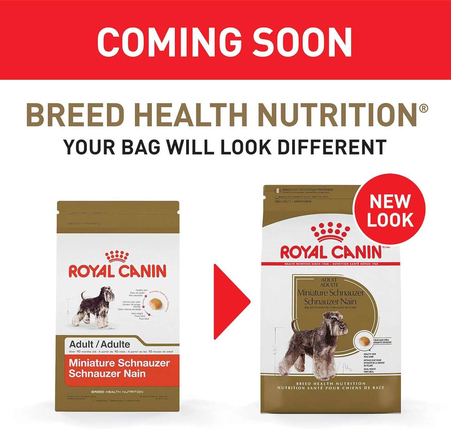 Royal Canin Miniature Schnauzer Adult Breed Specific Dry Dog Food, 10 LB -  Dry Dog Food Royal Canin
