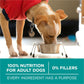 Purina One Plus Digestive Health Formula Adult Dry Dog Food Natural -  Dry Dog Food Purina ONE