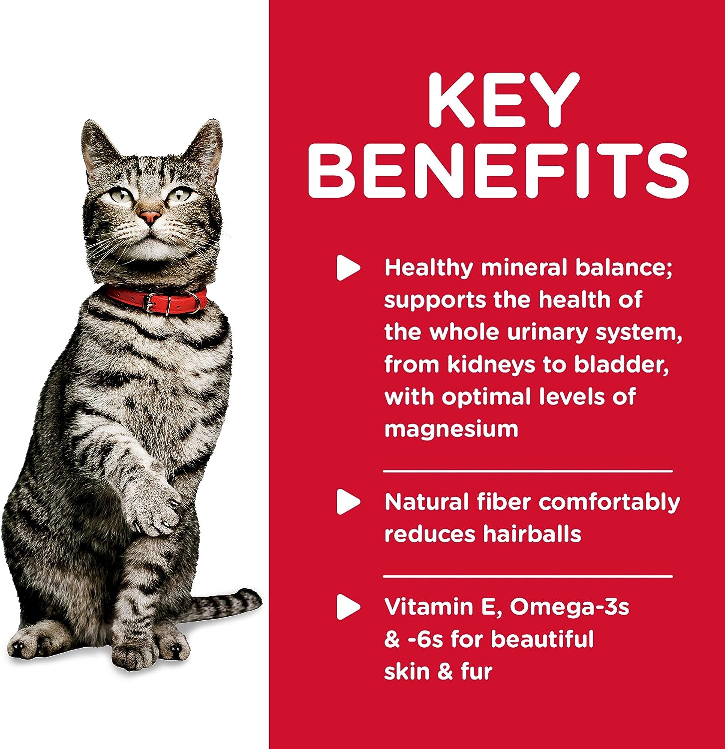 Hill's Science Diet Wet Cat Food, Adult, Urinary & Hairball Control, Savory Chicken Recipe -  Wet Cat Food Hill's Science