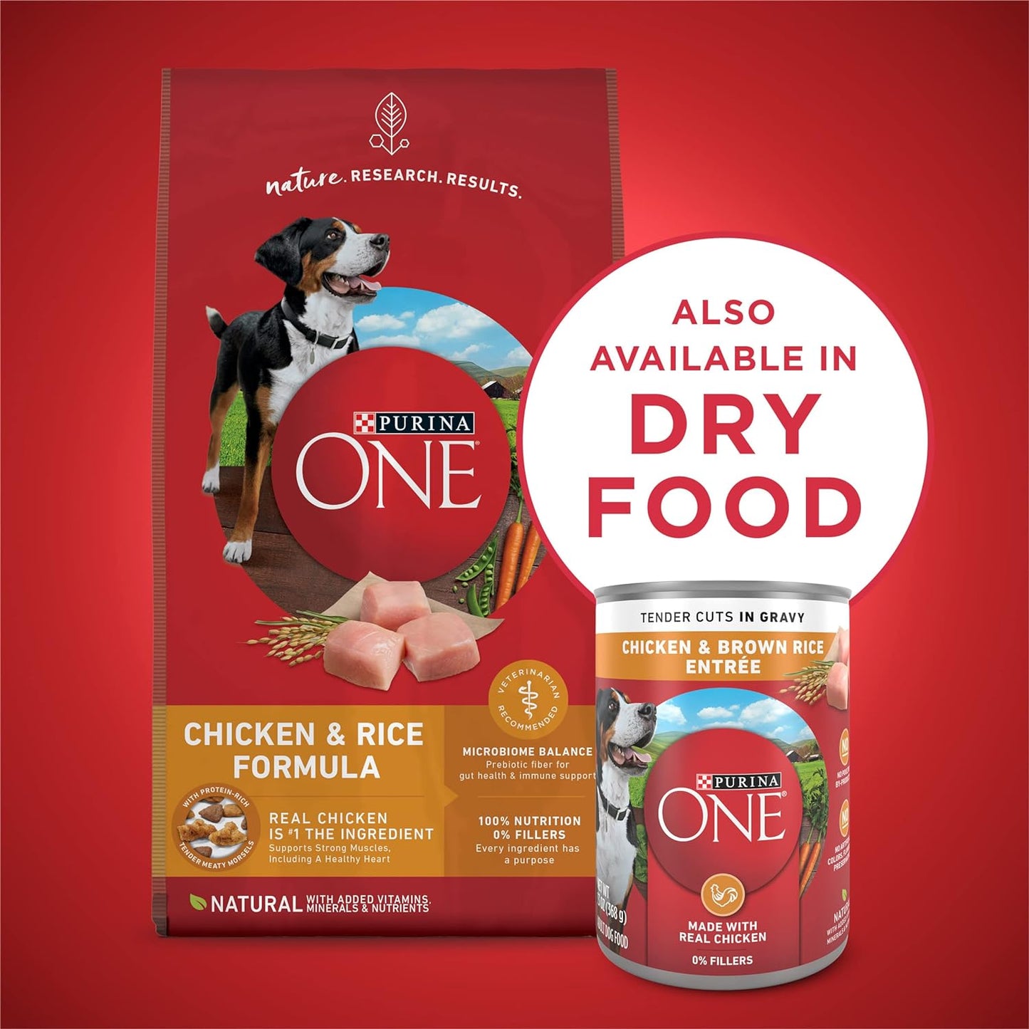 Purina ONE Natural High Protein Wet Dog Food, Tender Cuts in Gravy Chicken & Brown Rice Entree -  Wet Dog Food Purina ONE