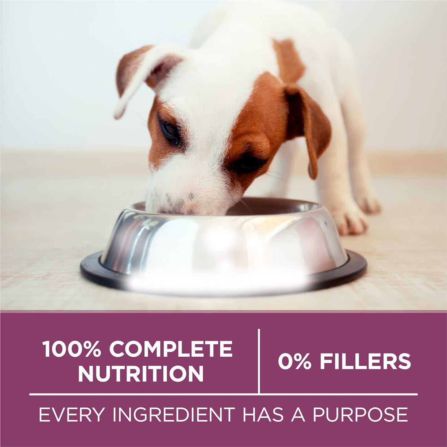 Purina ONE Plus Healthy Puppy Formula High Protein Natural Dry Puppy Food -  Dry Dog Food Purina ONE