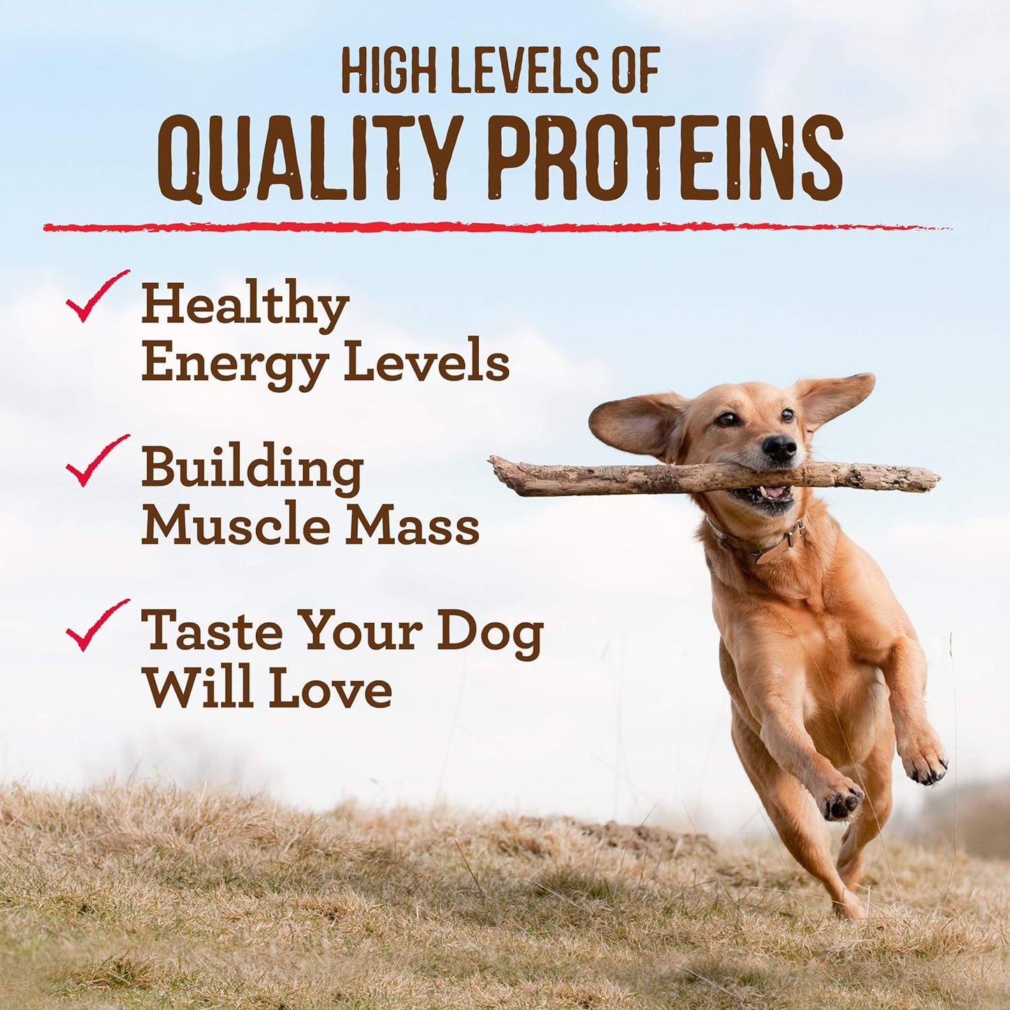 Merrick Grain Free Real Chicken & Sweet Potato Recipe Dry Dog Food -  Dry Dog Food Merrick