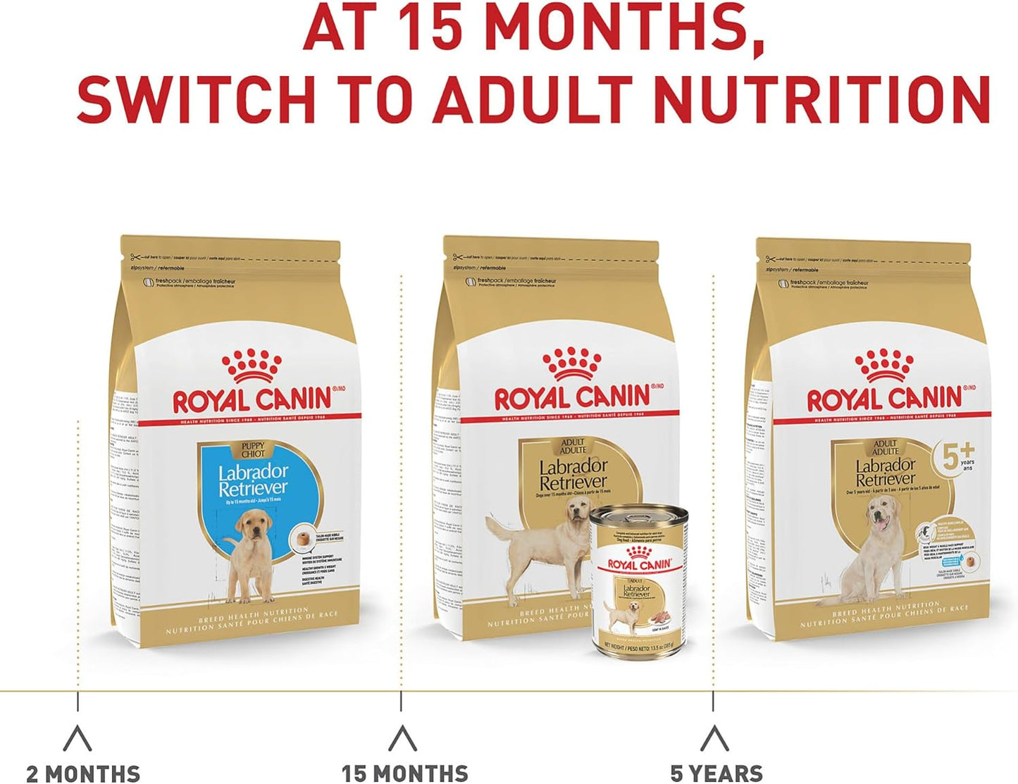 Royal Canin Breed Health Nutrition Labrador Retriever Adult Dry Dog Food -  Dry Dog Food Royal Canin