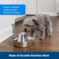 PetSafe Seaside Stainless Cat & Dog Fountain - 60 Oz Capacity -  Pet Fountain PetSafe