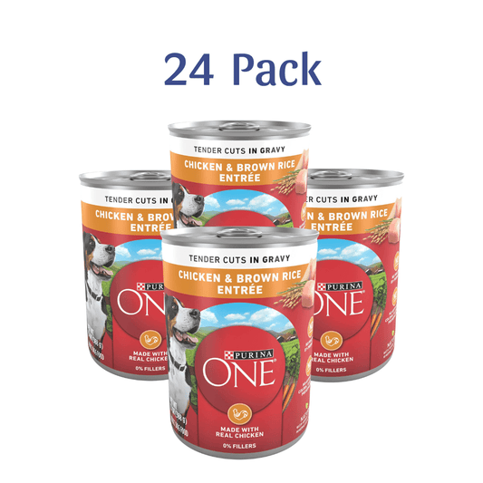 Purina ONE Natural High Protein Wet Dog Food, Tender Cuts in Gravy Chicken & Brown Rice Entree -  Wet Dog Food Purina ONE
