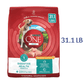 Purina One Plus Digestive Health Formula Adult Dry Dog Food Natural -  Dry Dog Food Purina ONE
