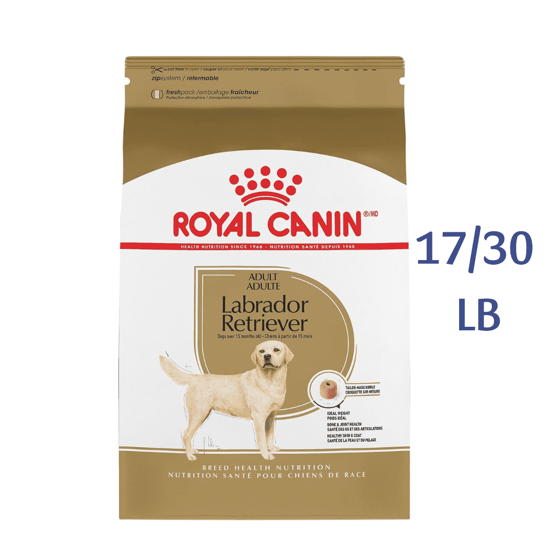 Royal Canin Breed Health Nutrition Labrador Retriever Adult Dry Dog Food -  Dry Dog Food Royal Canin