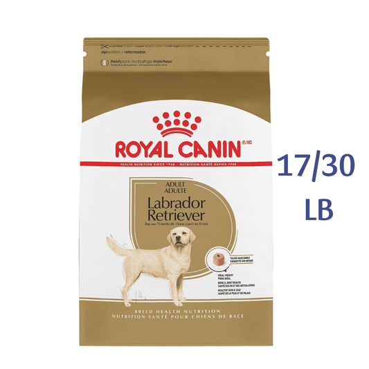 Royal Canin Breed Health Nutrition Labrador Retriever Adult Dry Dog Food -  Dry Dog Food Royal Canin