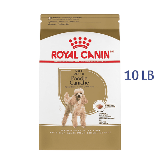 Royal Canin Breed Health Nutrition Poodle Adult Dry Dog Food, 10 LB -  Dry Dog Food Royal Canin