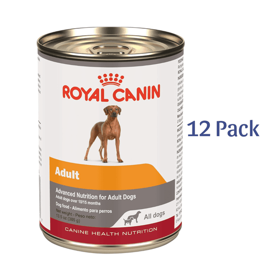 Royal Canin Canine Health Nutrition Adult In Gel Wet Dog Food, 13.5 oz, 12-Pack -  Wet Dog Food Royal Canin