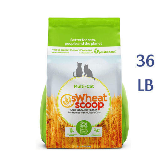 Swheat Scoop Unscented Scoopable Multi-Cat Litter, 36 lbs -  Cat Litter Swheat Scoop