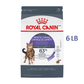 Royal Canin Appetite Control Spayed/Neutered Dry Adult Cat Food, 6 LB -  Dry Cat Food Royal Canin