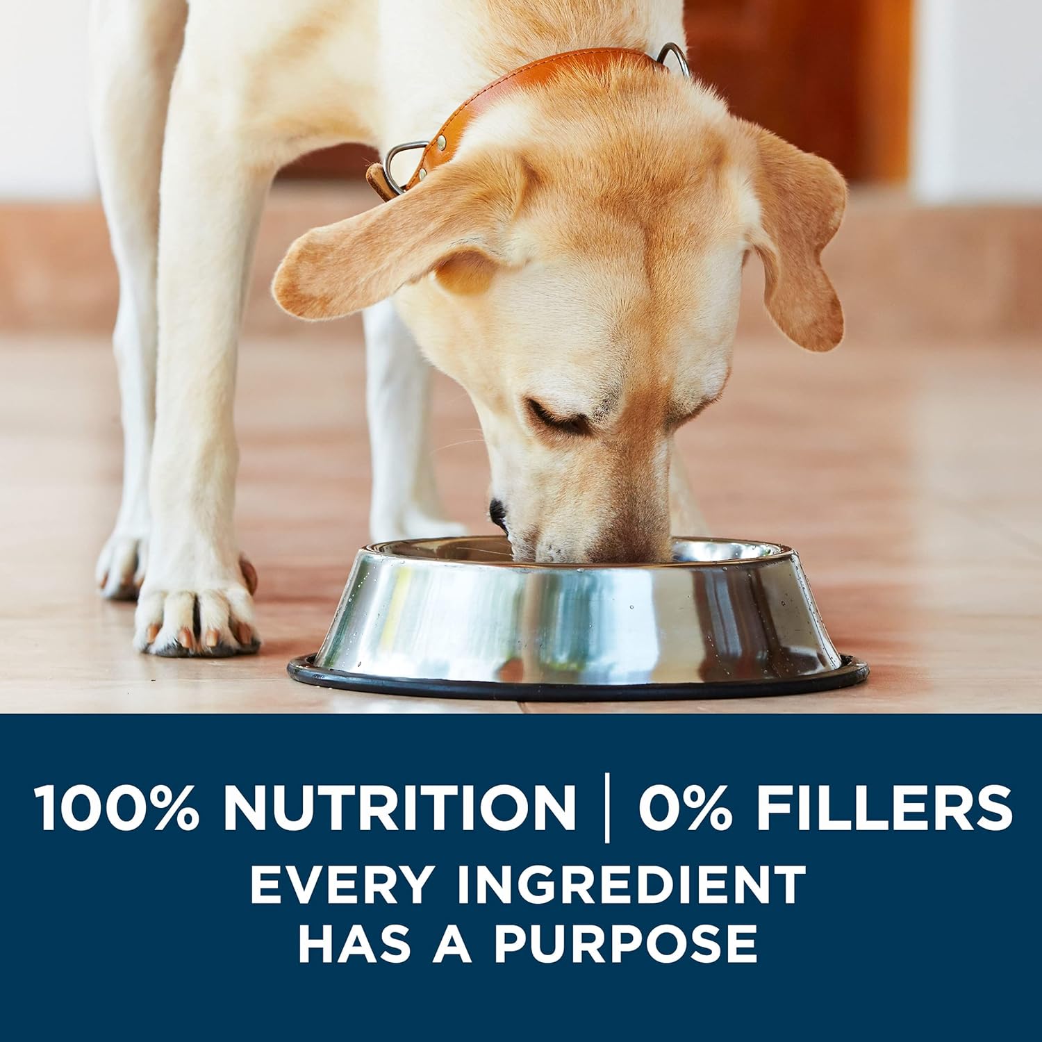 PURINA ONE Plus Large Breed Adult Dry Dog Food Formula Saving UpTo 50% -  Dry Dog Food Purina ONE