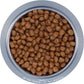 Royal Canin Chihuahua Adult Breed Health Nutrition Dry Dog Food, 10 LB -  Dry Dog Food Royal Canin