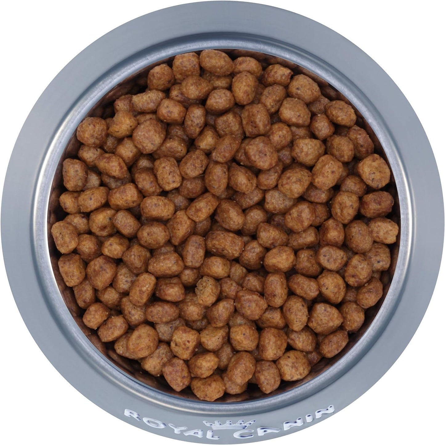 Royal Canin Chihuahua Adult Breed Health Nutrition Dry Dog Food, 10 LB -  Dry Dog Food Royal Canin