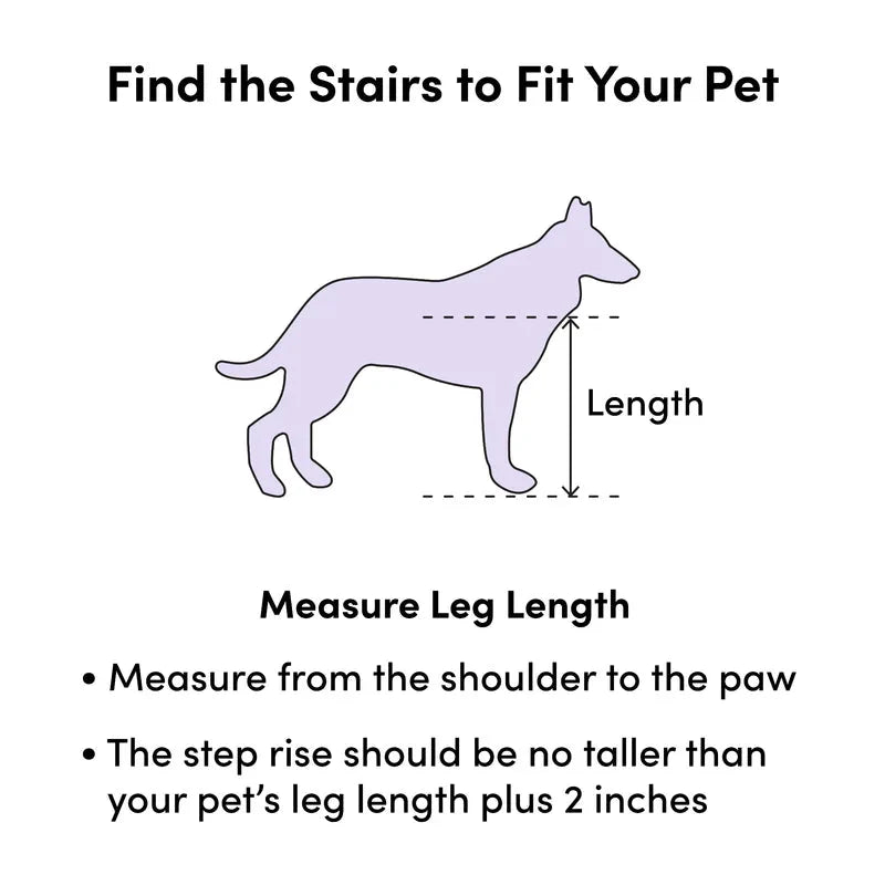 PetSafe Happy Ride Telescoping Dog Ramp, 72" L x 17" W -  Pet Ramp PetSafe