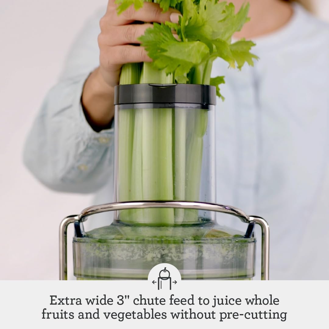 Breville Juice Fountain Cold Juicer, Silver, BJE430SIL