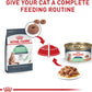 Royal Canin Digestive Health Dry Cat Food for Adult Cat Care -  Dry Cat Food Royal Canin