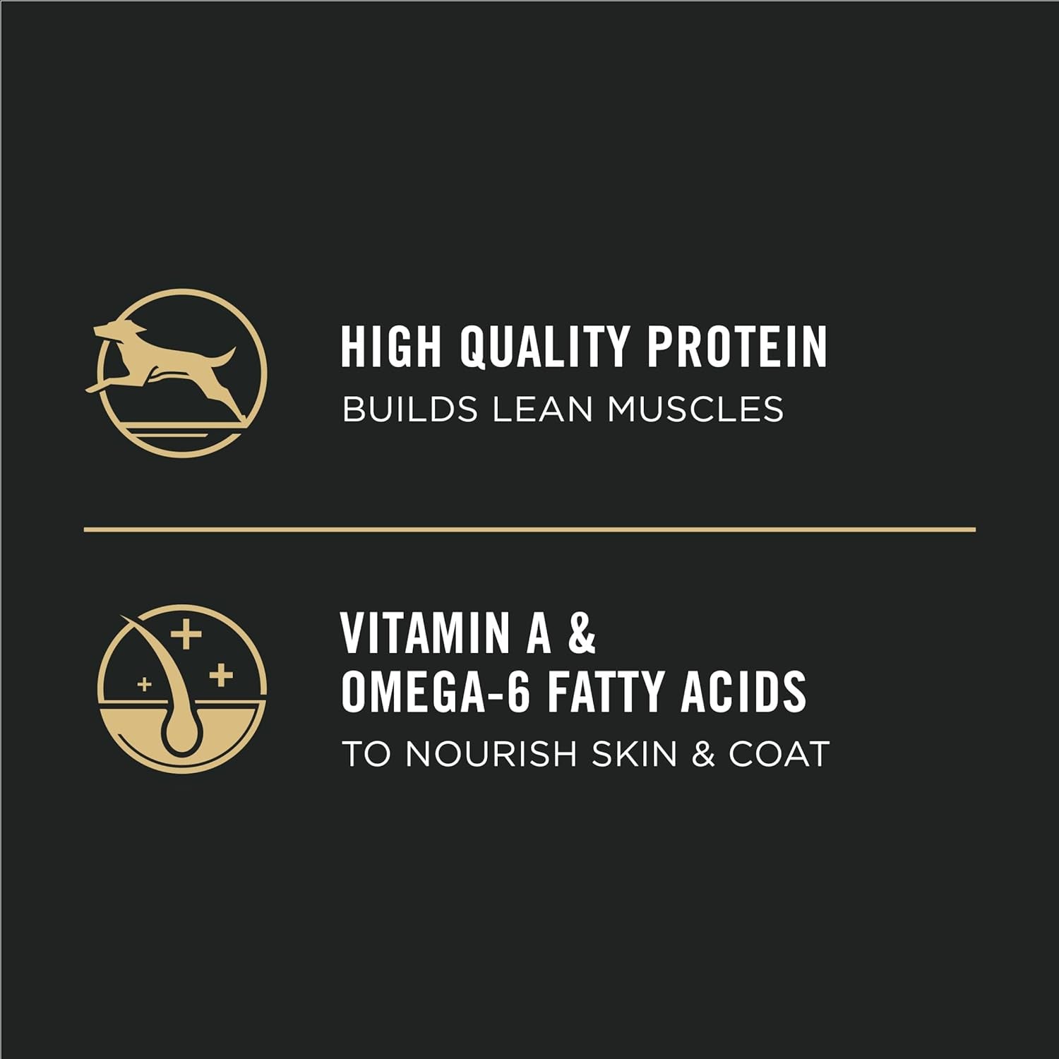 Purina Pro Plan High Protein Dry Puppy Food, Chicken and Rice Formula -  Dry Dog Food Purina Pro Plan