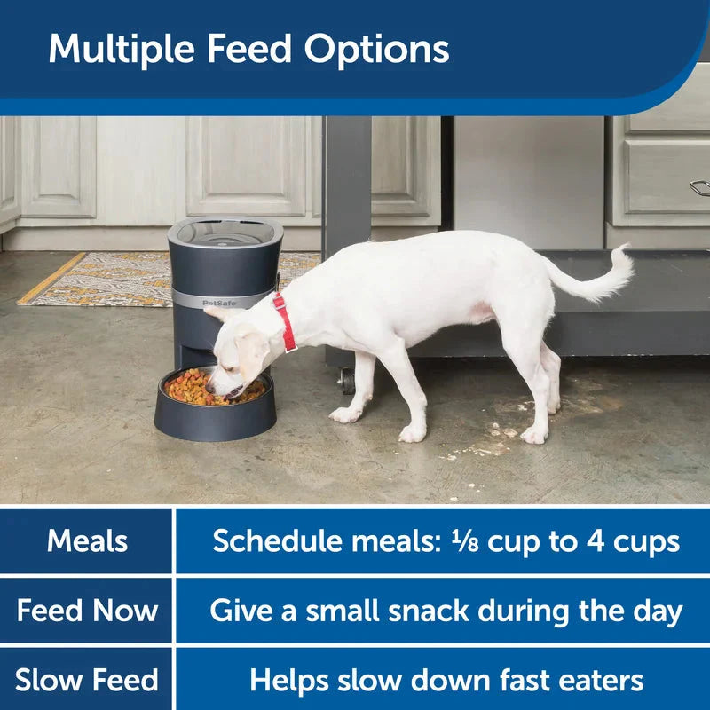 PetSafe Smart Feed, Electronic Pet Feeder for Cats & Dogs, 6L/24 Cup Capacity -  Automatic Feeder PetSafe
