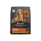 Purina Pro Plan Complete Essentials Shredded Blend Adult Dry Dog Food - Chicken & Rice