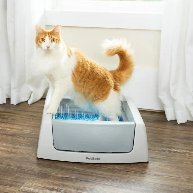 PetSafe ScoopFree Complete Classic Auto Self-Cleaning Litter Box -  Self-Cleaning Litter Box PetSafe