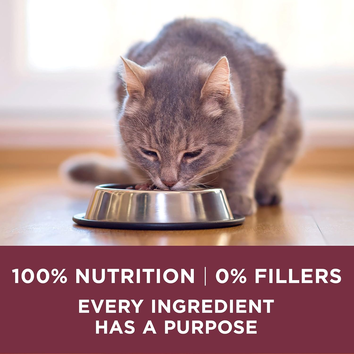 Purina ONE High Protein +Plus Urinary Tract Health Adult Dry Cat Food -  Dry Cat Food Purina ONE