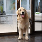 PetSafe Freedom Aluminum Patio Panel Sliding Glass Pet Door for Dogs & Cats - Adjustable Height -  Dog Gates & Pens PetSafe