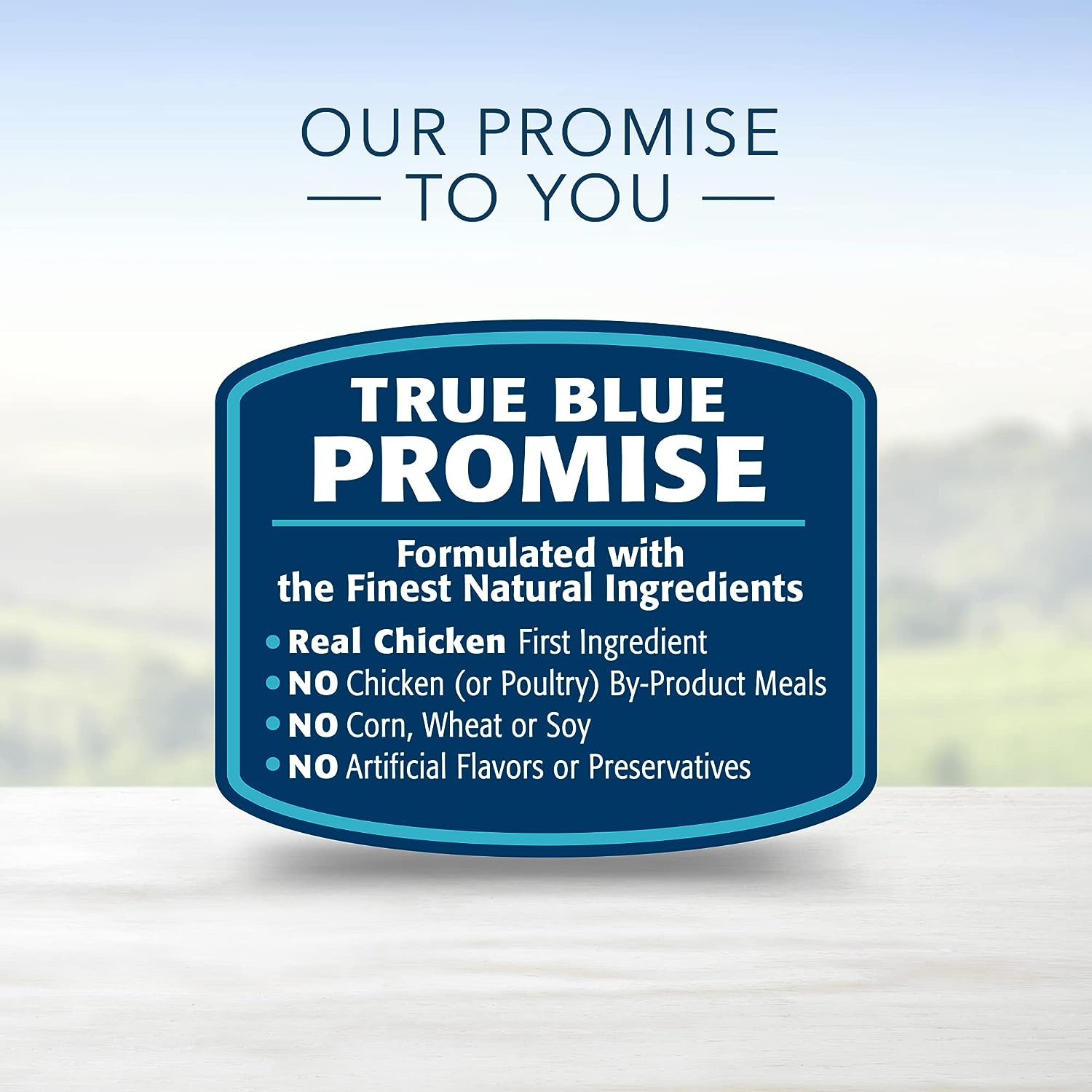 Blue Buffalo Life Protection Formula Natural Senior Dry Dog Food, Chicken & Brown Rice -  Dry Dog Food Blue Buffalo