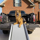 PetSafe Happy Ride Extra Long Telescoping Dog Ramp, 87" L x 20" W -  Pet Ramp PetSafe