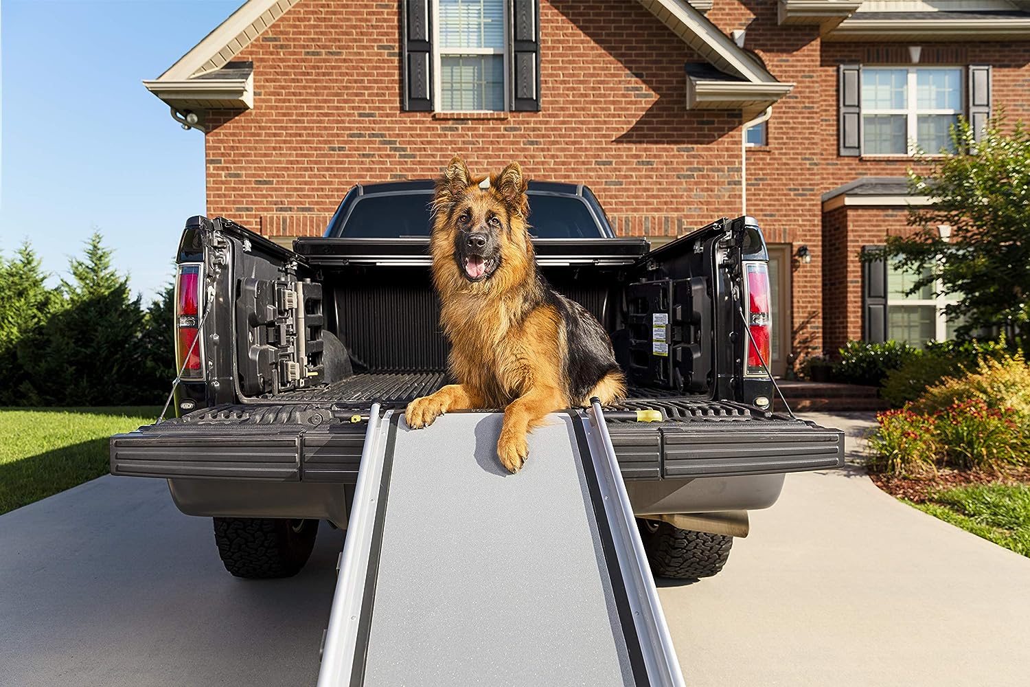 PetSafe Happy Ride Extra Long Telescoping Dog Ramp, 87" L x 20" W -  Pet Ramp PetSafe