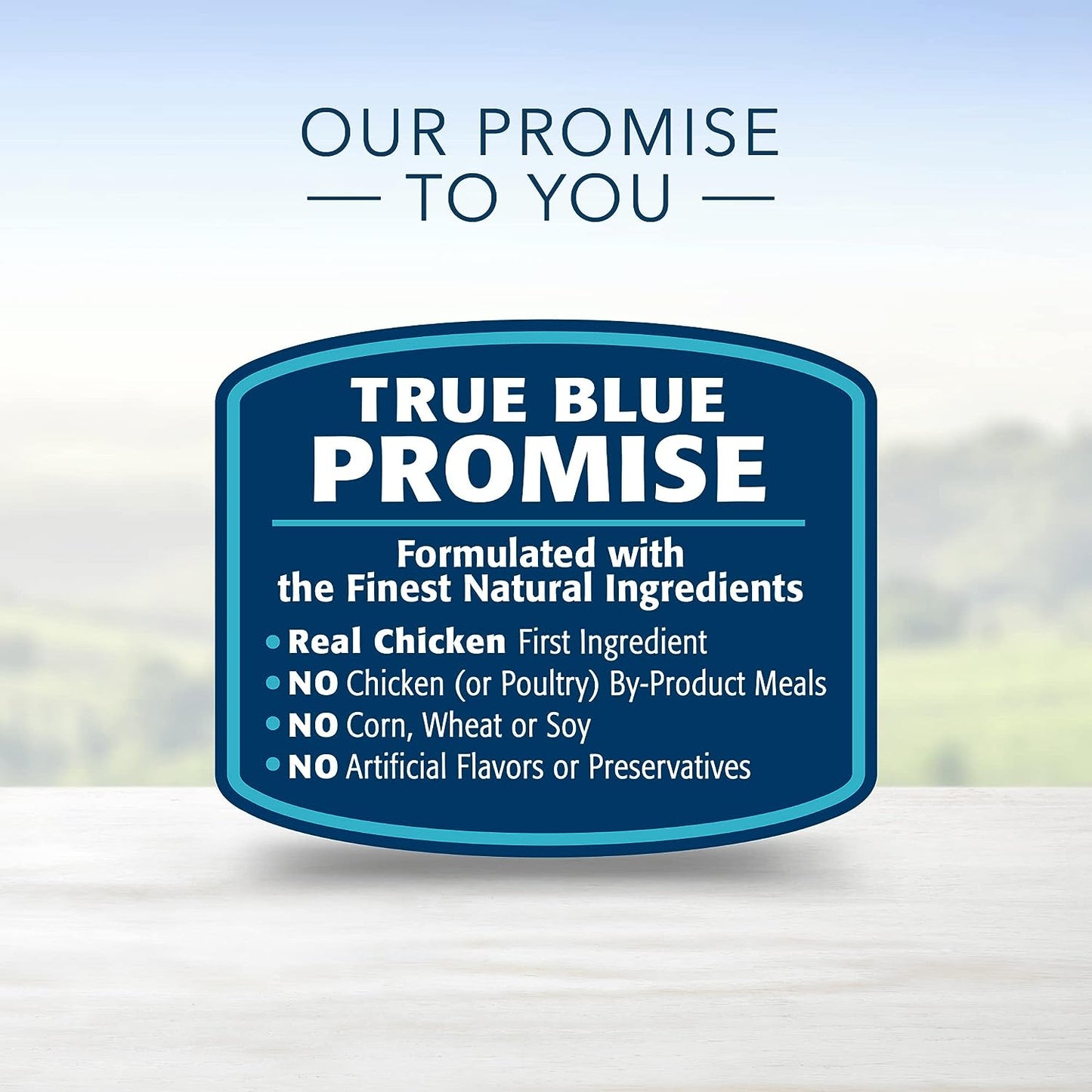 Blue Buffalo Life Protection Formula Natural Adult Dry Dog Food, Chicken & Brown Rice -  Dry Dog Food Blue Buffalo