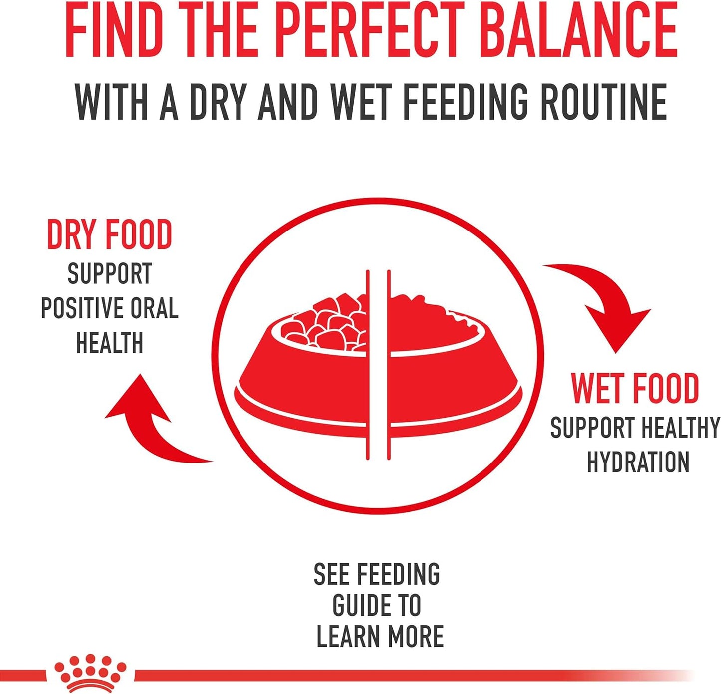 Royal Canin Breed Health Nutrition Golden Retriever Adult Dry Dog Food, 30 LB -  Dry Dog Food Royal Canin