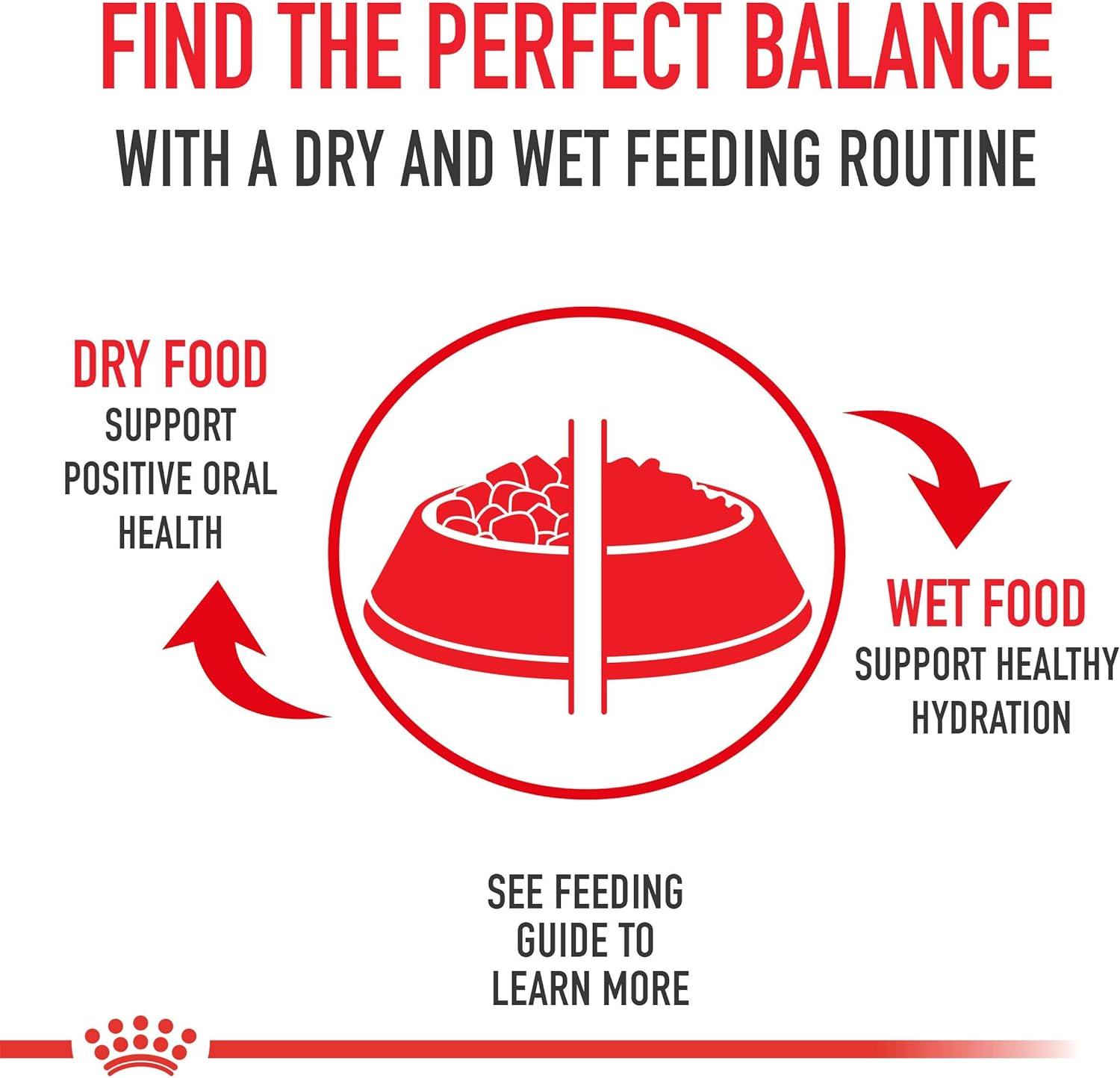 Royal Canin Breed Health Nutrition Golden Retriever Adult Dry Dog Food, 30 LB -  Dry Dog Food Royal Canin