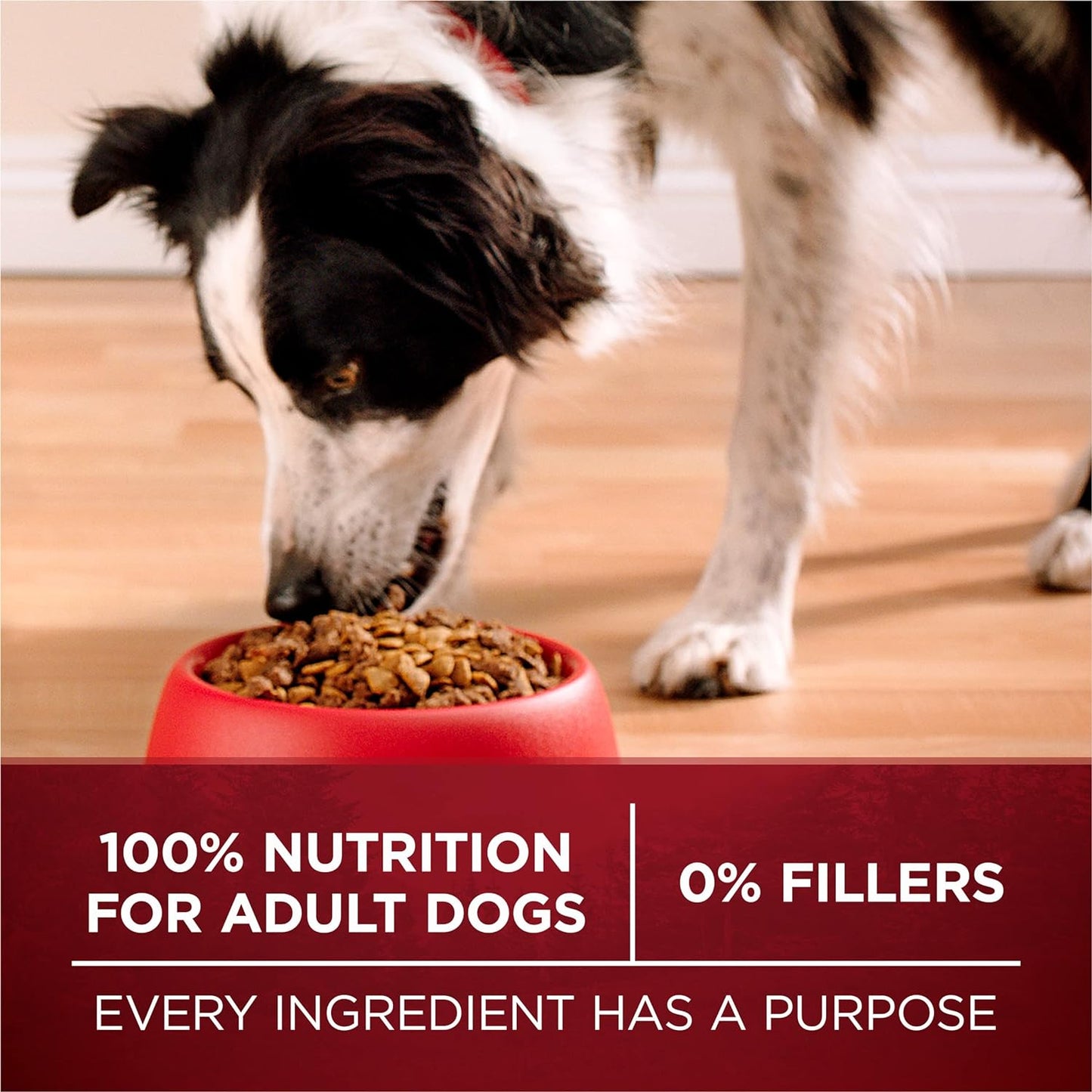 Purina ONE True Instinct Dry Dog Food with A Blend Of Real Turkey & Venison -  Dry Dog Food Purina ONE