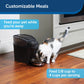 PetSafe Smart Feed - Electronic Pet Feeder for Cats & Dogs -  Automatic Feeder PetSafe