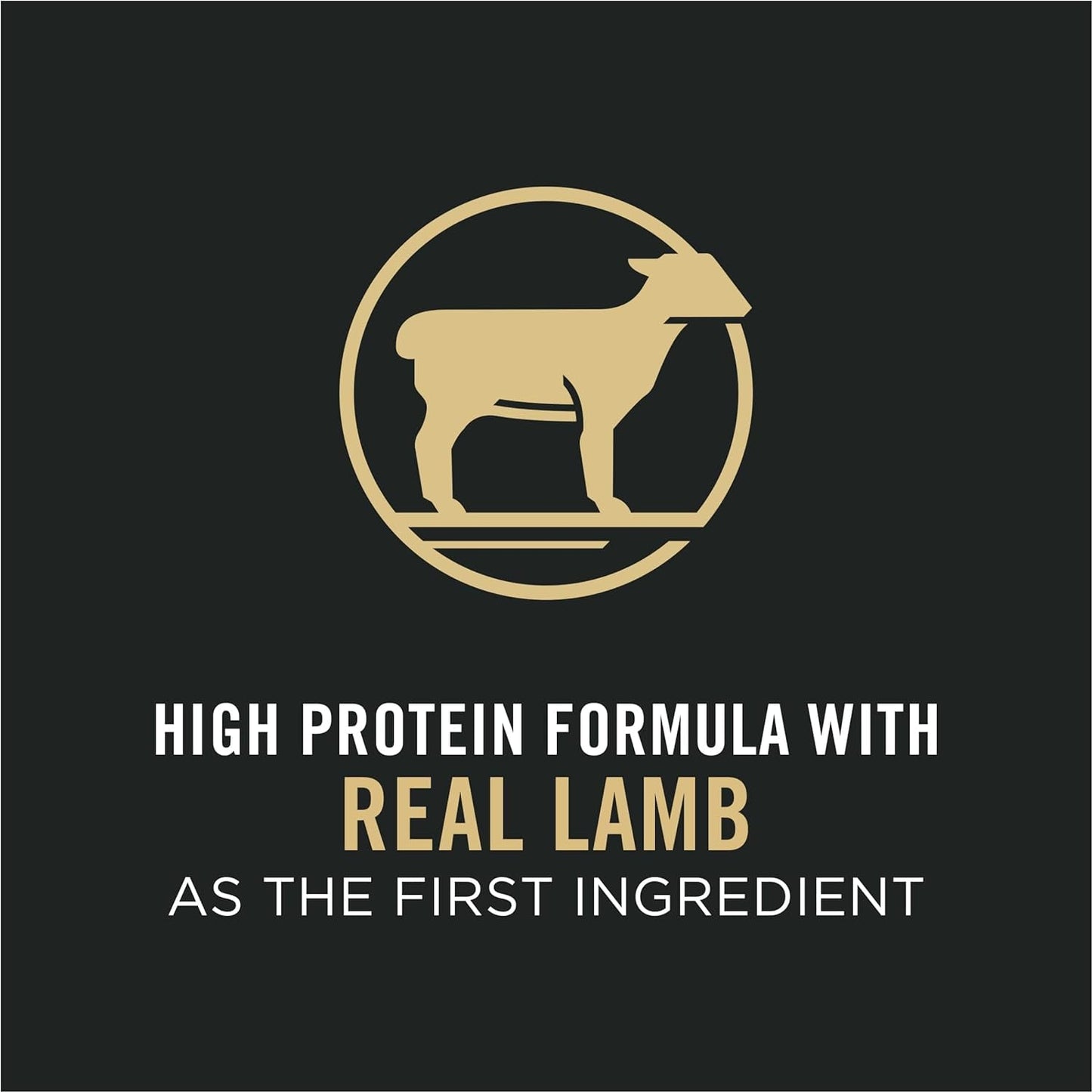 Purina Pro Plan Sensitive Skin & Stomach Dry Cat Food, Lamb & Rice Formula -  Dry Cat Food Purina Pro Plan