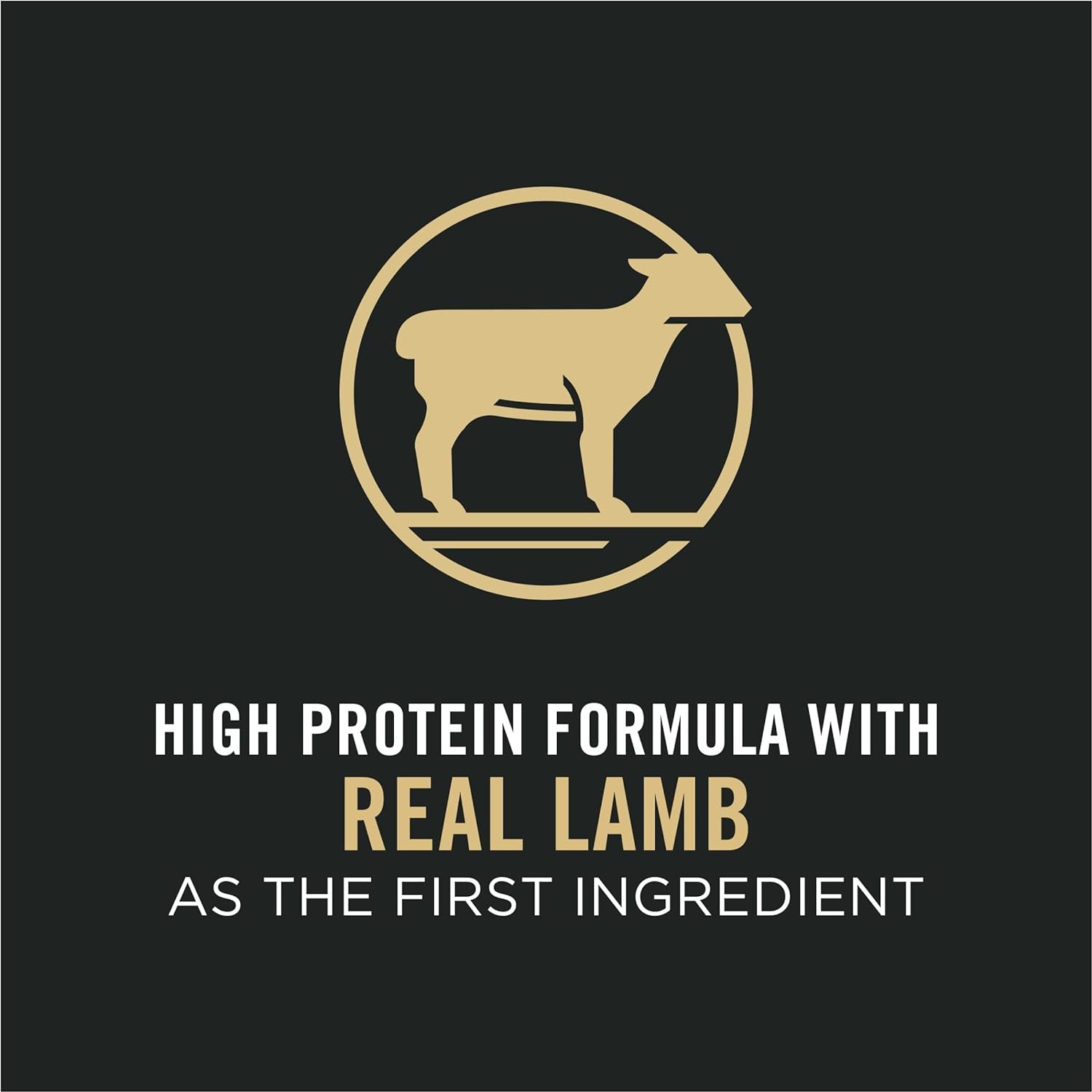 Purina Pro Plan Sensitive Skin & Stomach Dry Cat Food, Lamb & Rice Formula -  Dry Cat Food Purina Pro Plan