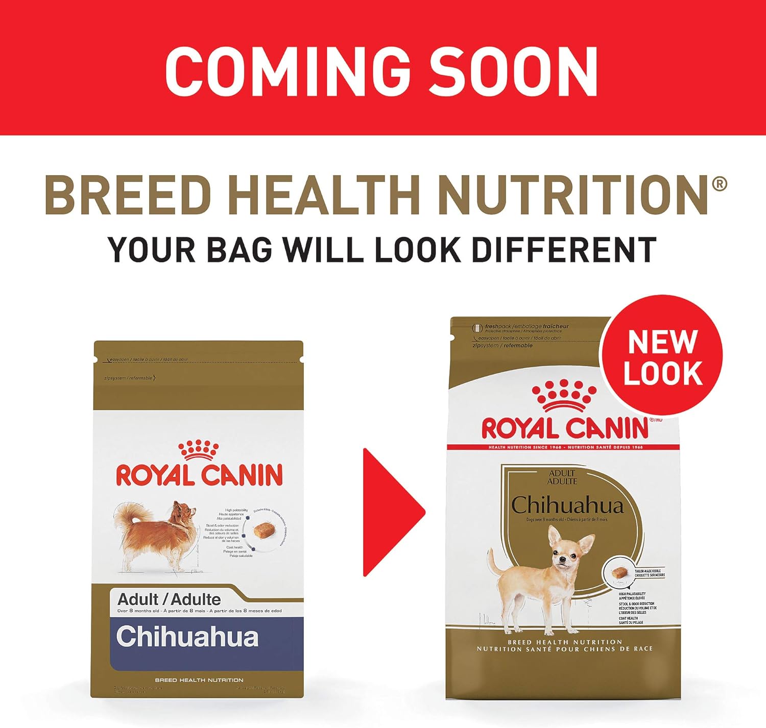 Royal Canin Chihuahua Adult Breed Health Nutrition Dry Dog Food, 10 LB -  Dry Dog Food Royal Canin