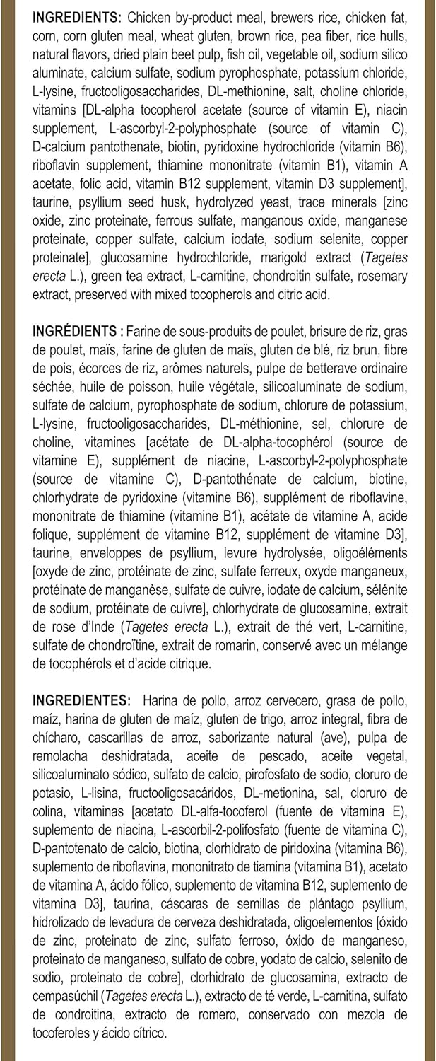 Royal Canin Maine Coon Breed Adult Dry Cat Food, 6 LB -  Dry Cat Food Royal Canin