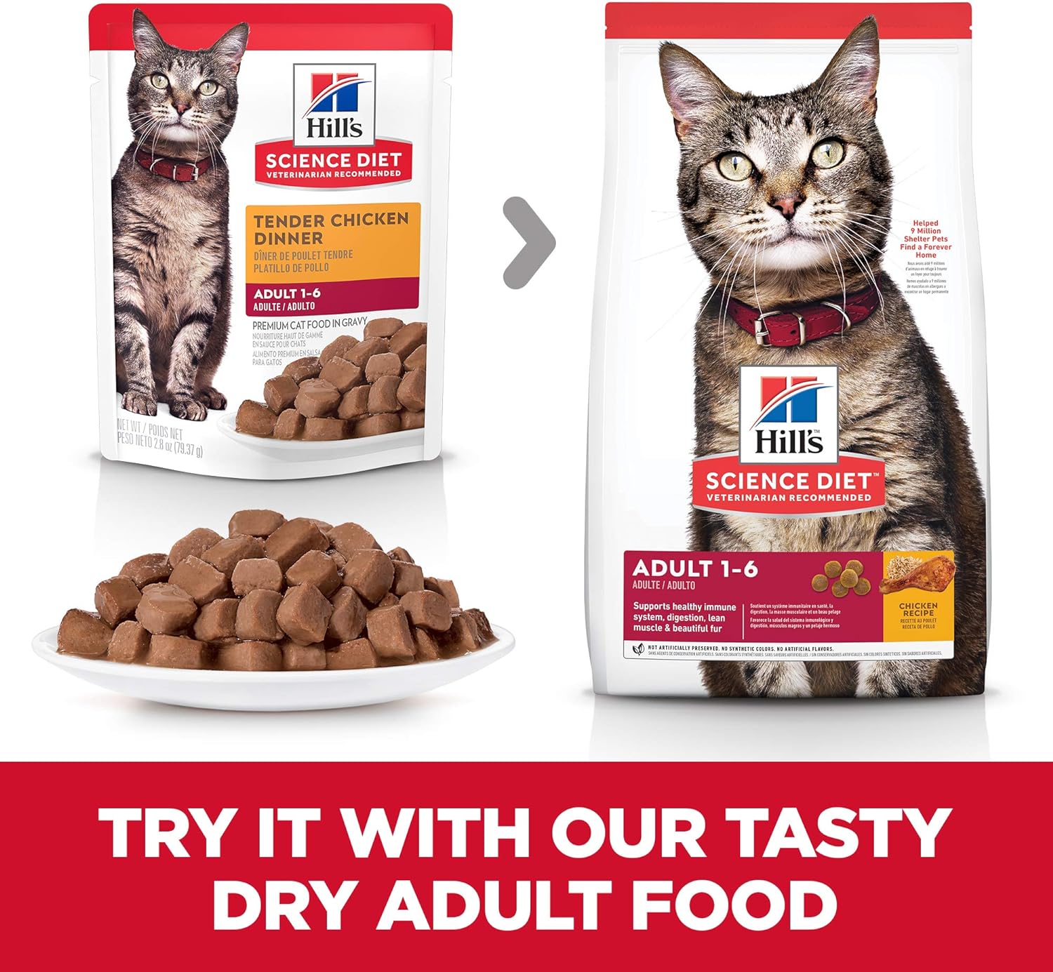 Hill's Science Diet Chicken Adult Pouches Wet Cat Food, 2.8 oz, 24-Pack -  Wet Cat Food Hill's Science