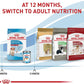 Royal Canin Size Health Nutrition Medium Puppy Dry Dog Food -  Dry Dog Food Royal Canin