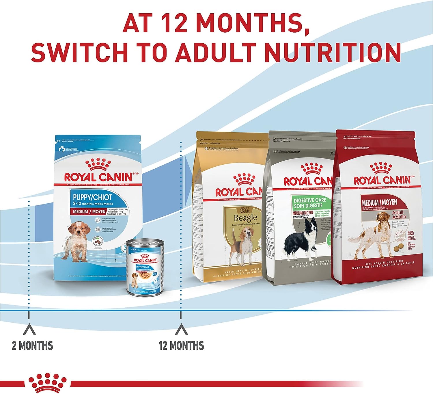 Royal Canin Size Health Nutrition Medium Puppy Dry Dog Food -  Dry Dog Food Royal Canin